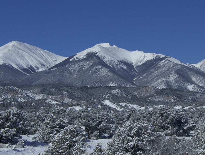 <h4><span style="text-decoration:underline">eCommerce and Startup Marketing Services</span></h4><h1><strong>Empowering Small Businesses and Start Ups with Innovative Digital Marketing & Content Creation</strong></h1>